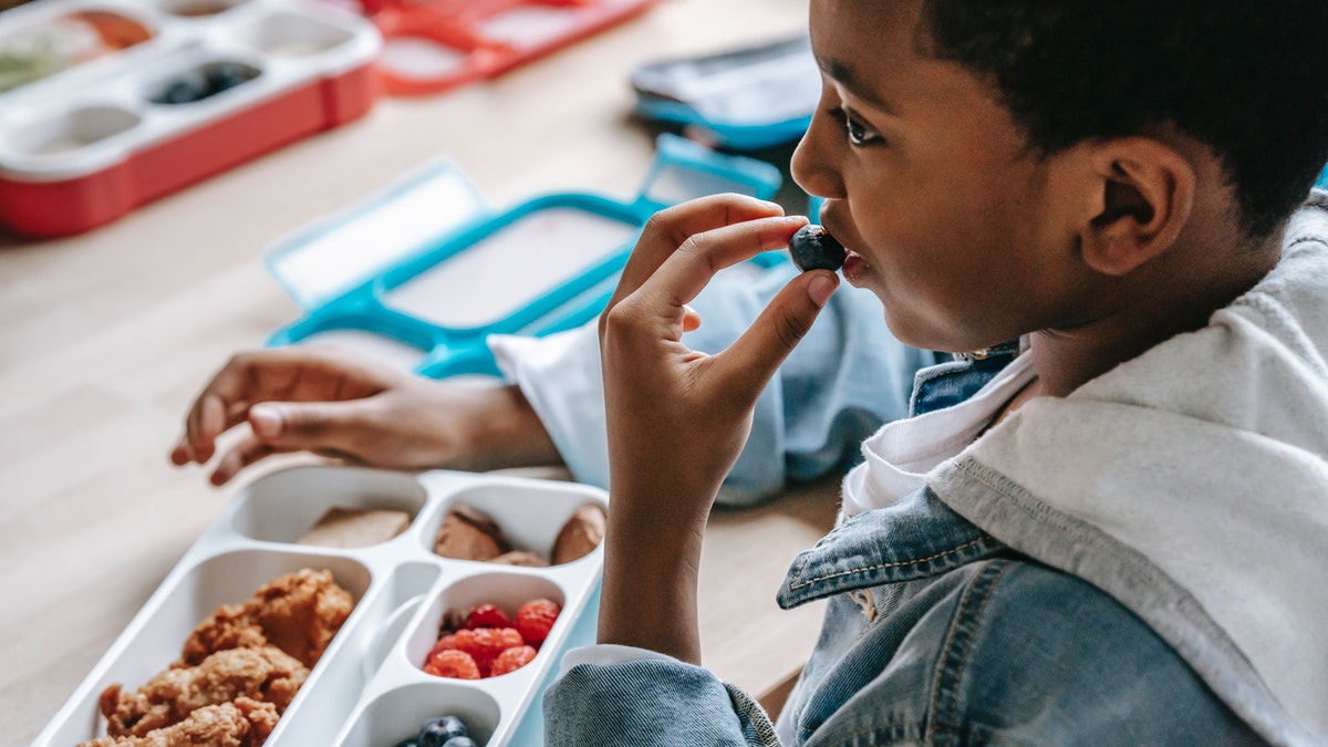 child eating healthy snacks