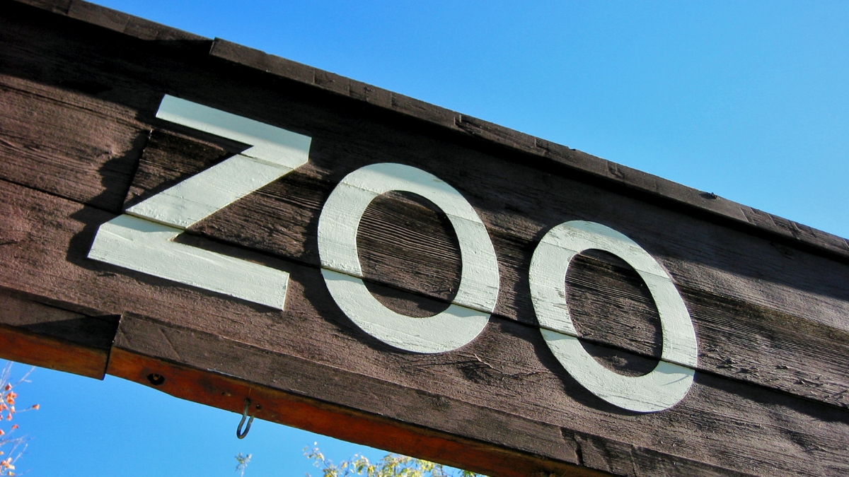 Zoo